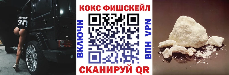 COCAIN Fish Scale  Купить  Донской 