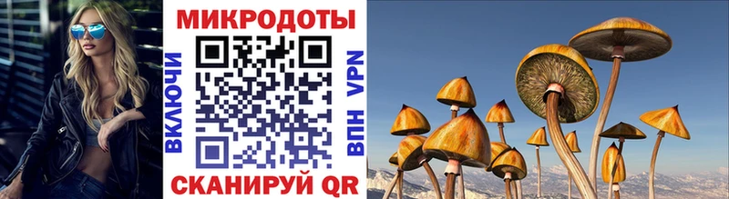 Галлюциногенные грибы Cubensis  Купить где  Донской 